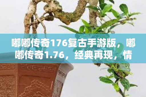 嘟嘟传奇176复古手游版，嘟嘟传奇1.76，经典再现，情怀与激情的碰撞