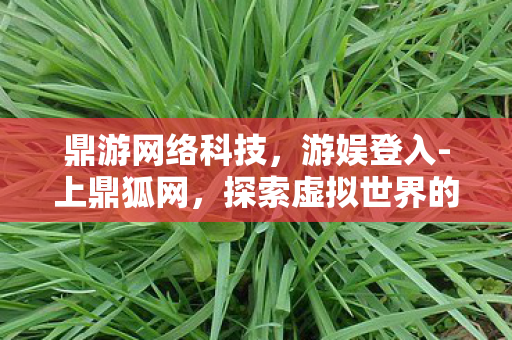 鼎游网络科技，游娱登入-上鼎狐网，探索虚拟世界的无限可能