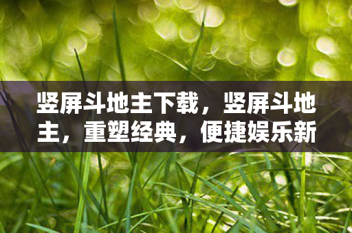 竖屏斗地主下载，竖屏斗地主，重塑经典，便捷娱乐新体验