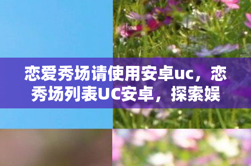 恋爱秀场请使用安卓uc，恋秀场列表UC安卓，探索娱乐新境界