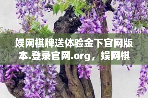 娱网棋牌送体验金下官网版本.登录官网.org，娱网棋，探索网络棋牌的无限可能