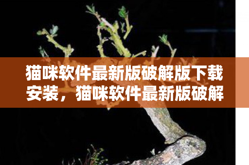 猫咪软件最新版破解版下载安装，猫咪软件最新版破解版下载，解锁无限可能的娱乐新体验