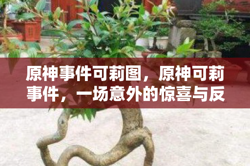 原神事件可莉图，原神可莉事件，一场意外的惊喜与反思