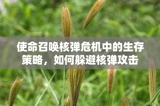 使命召唤核弹危机中的生存策略，如何躲避核弹攻击