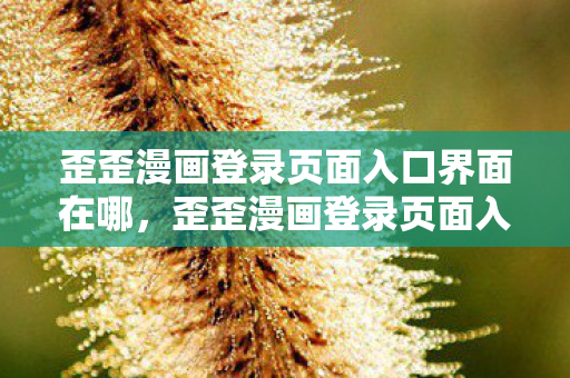 歪歪漫画登录页面入口界面在哪，歪歪漫画登录页面入口，探索漫画世界的奇妙之旅