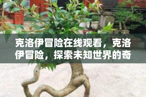 克洛伊冒险在线观看，克洛伊冒险，探索未知世界的奇幻之旅