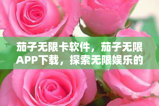 茄子无限卡软件，茄子无限APP下载，探索无限娱乐的新选择