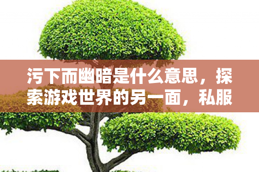 污下而幽暗是什么意思，探索游戏世界的另一面，私服与玩家的独特互动