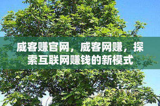 威客赚官网，威客网赚，探索互联网赚钱的新模式