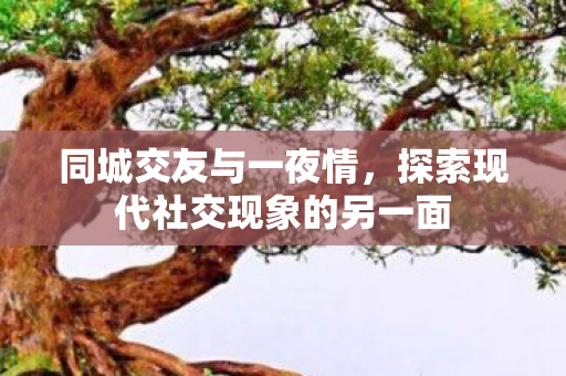 同城交友与一夜情,探索现代社交现象的另一面 同城交友与一夜情,探索现代社交现象的另一面