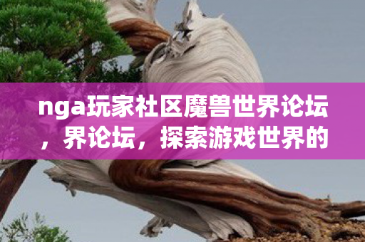 nga玩家社区魔兽世界论坛，界论坛，探索游戏世界的无限可能