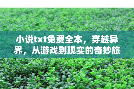 小说txt免费全本，穿越异界，从游戏到现实的奇妙旅程