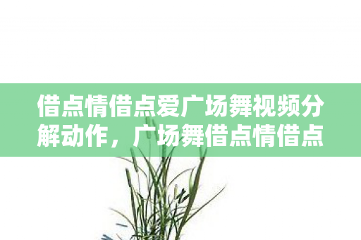 借点情借点爱广场舞视频分解动作，广场舞借点情借点爱分解动作详解