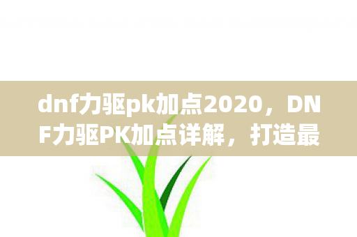 dnf力驱pk加点2020，DNF力驱PK加点详解，打造最强战斗力的关键