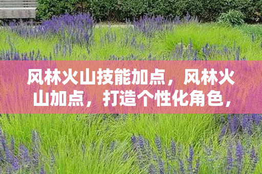 风林火山技能加点，风林火山加点，打造个性化角色，畅游奇幻世界