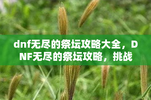 dnf无尽的祭坛攻略大全，DNF无尽的祭坛攻略，挑战极限，解锁无限可能