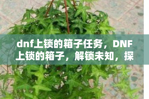 dnf上锁的箱子任务，DNF上锁的箱子，解锁未知，探索无限可能