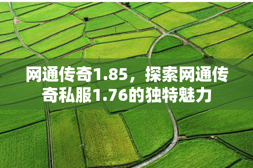 网通传奇1.85，探索网通传奇私服1.76的独特魅力