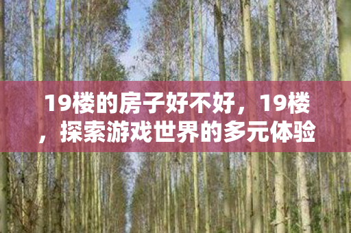 19楼的房子好不好，19楼，探索游戏世界的多元体验