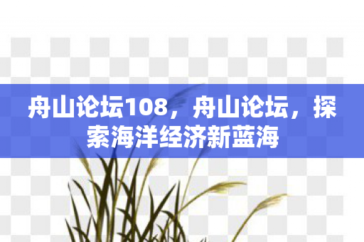 舟山论坛108，舟山论坛，探索海洋经济新蓝海