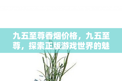 九五至尊香烟价格，九五至尊，探索正版游戏世界的魅力