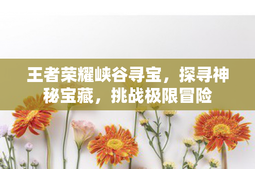 王者荣耀峡谷寻宝，探寻神秘宝藏，挑战极限冒险