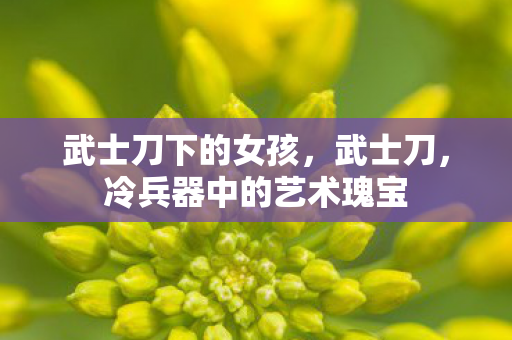 武士刀下的女孩，武士刀，冷兵器中的艺术瑰宝