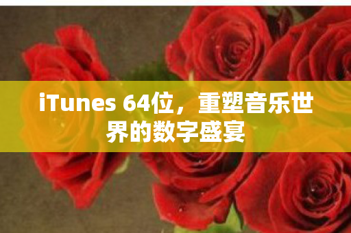 iTunes 64位，重塑音乐世界的数字盛宴