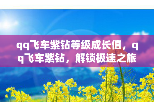 qq飞车紫钻等级成长值，qq飞车紫钻，解锁极速之旅的专属特权