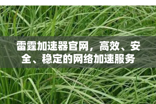 雷霆加速器官网，高效、安全、稳定的网络加速服务