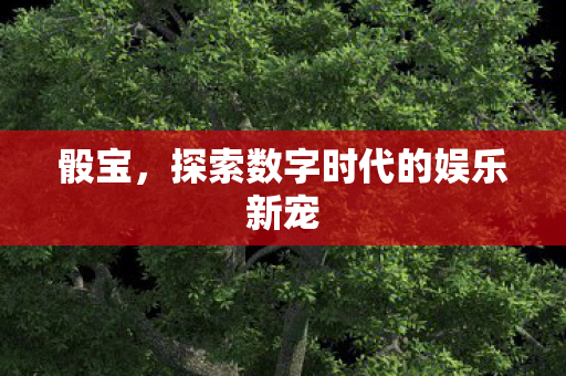 骰宝，探索数字时代的娱乐新宠
