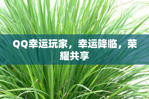 QQ幸运玩家,幸运降临,荣耀共享 QQ幸运玩家,幸运降临,荣耀共享