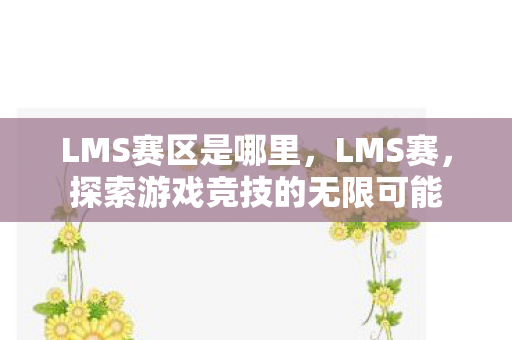 LMS赛区是哪里，LMS赛，探索游戏竞技的无限可能