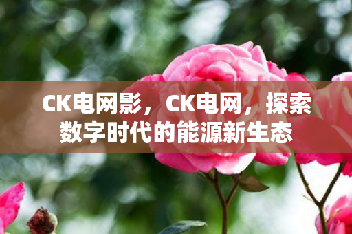 CK电网影，CK电网，探索数字时代的能源新生态