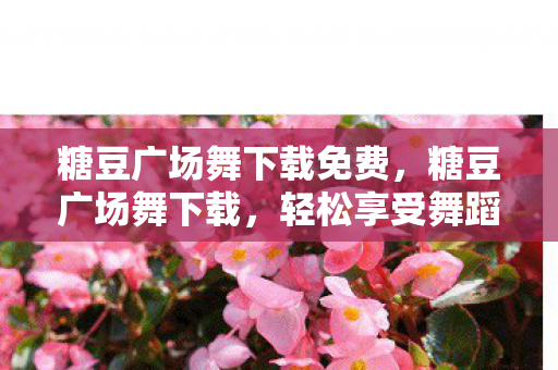 糖豆广场舞下载免费，糖豆广场舞下载，轻松享受舞蹈乐趣