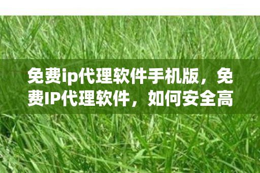 免费ip代理软件手机版，免费IP代理软件，如何安全高效地使用