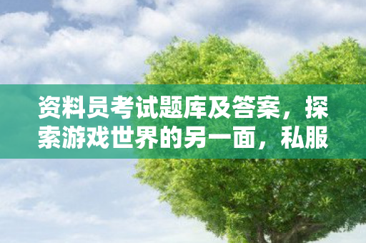 资料员考试题库及答案，探索游戏世界的另一面，私服游戏的兴起与影响