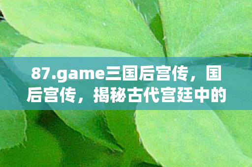 87.game三国后宫传，国后宫传，揭秘古代宫廷中的权力斗争与女性智慧