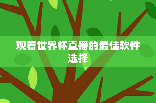 观看世界杯直播的最佳软件选择