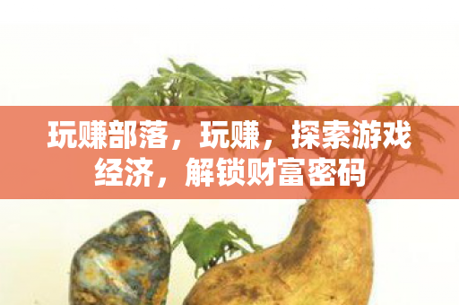 玩赚部落，玩赚，探索游戏经济，解锁财富密码