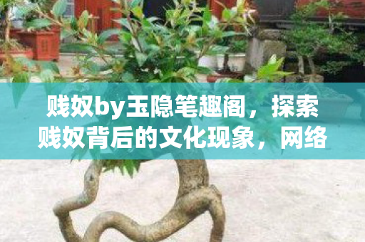 贱奴by玉隐笔趣阁，探索贱奴背后的文化现象，网络时代的自我定义与认同