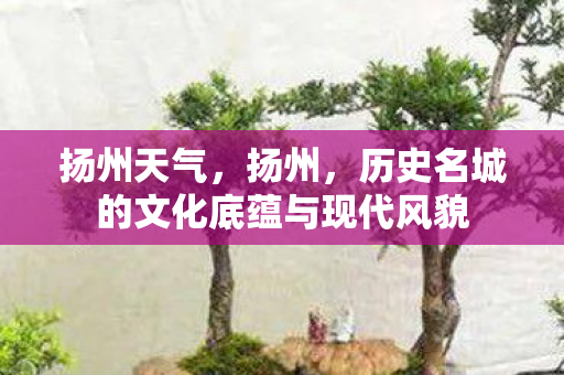 扬州天气，扬州，历史名城的文化底蕴与现代风貌