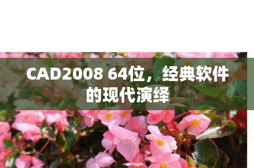 CAD2008 64位，经典软件的现代演绎
