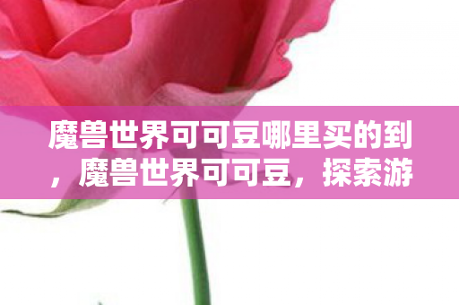 魔兽世界可可豆哪里买的到，魔兽世界可可豆，探索游戏世界的奇妙之旅