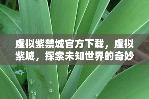 虚拟紫禁城官方下载，虚拟紫城，探索未知世界的奇妙之旅