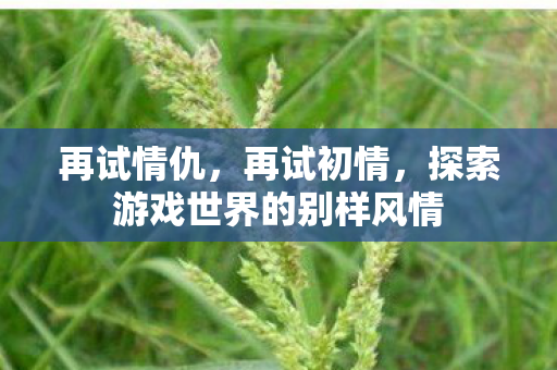 再试情仇，再试初情，探索游戏世界的别样风情