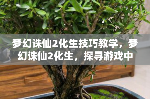 梦幻诛仙2化生技巧教学，梦幻诛仙2化生，探寻游戏中的奇妙变化与成长