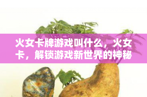 火女卡牌游戏叫什么，火女卡，解锁游戏新世界的神秘钥匙