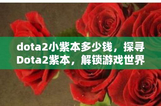 dota2小紫本多少钱，探寻Dota2紫本，解锁游戏世界的神秘钥匙
