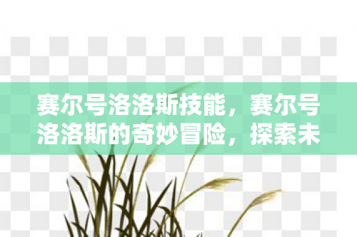 赛尔号洛洛斯技能，赛尔号洛洛斯的奇妙冒险，探索未知世界的奇妙旅程